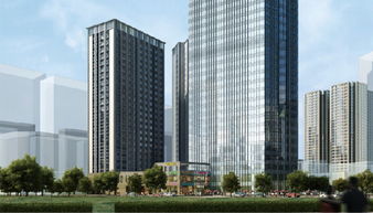 大连专业房地产广告省钱之道——大连融智堂为您赋能