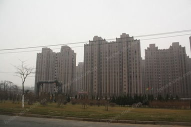 衡逸园 大连房地产开发中的精致生活样本