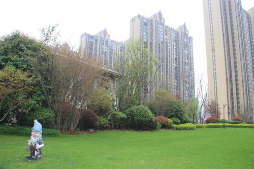 大连房地产市场动态观察 机遇与挑战并存